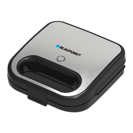 Blaupunkt SMS501 Owner's Manual