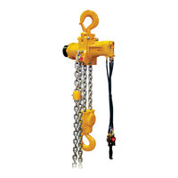Ingersoll-Rand Liftchain LC2H060S Product Maintenance Information