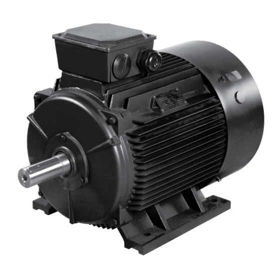 Grundfos MMG-W IE3 Induction Motor Manuals