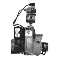 Bentone LME11.230C2E Installation And Maintenance  Instruction