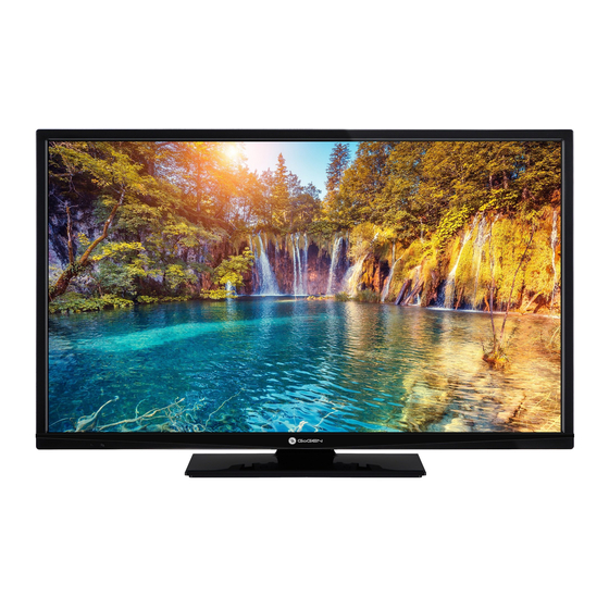 Gogen TVF39P471T Instruction Manual