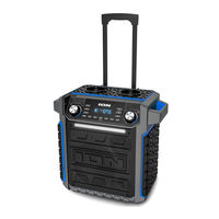 ION Pickup User Manual