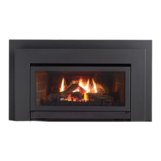 Regency Fireplace Products E21 Gas Insert Owners & Installation Manual