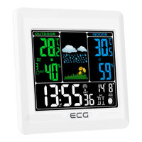 ECG MS 300 Instruction Manual