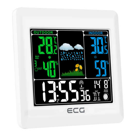 ECG MS 300 Instruction Manual