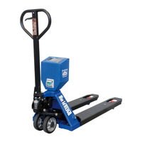 WorldWEIGH T100 Use And Maintenance Manual
