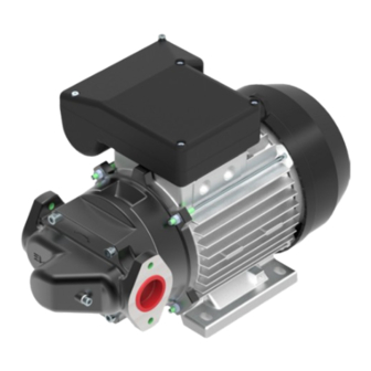 Piusi E80 Instructions For Installation, Use And Maintenance Manual