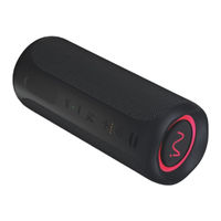 INTEZZE Vertical VIBE Manual