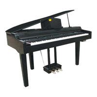 Princeton HG-140e Owner's Manual