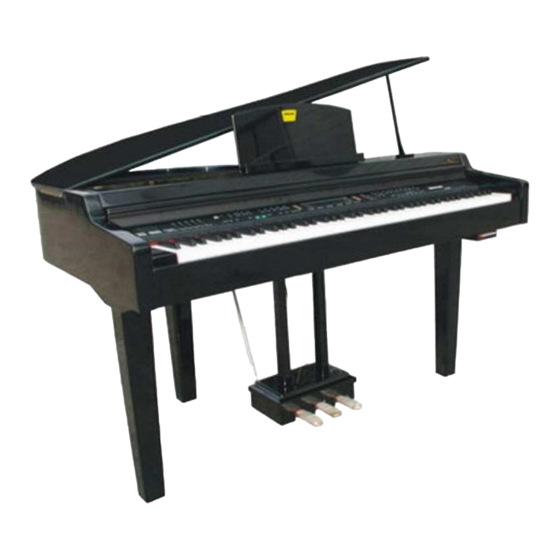 Princeton HP-300e Owner's Manual
