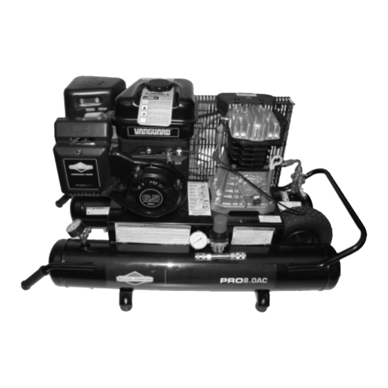 Briggs & Stratton 203721GS Operator's Manual