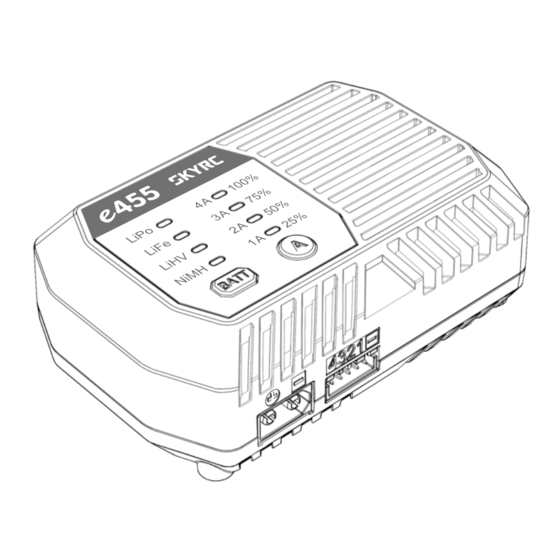 Skyrc SK-100170 Instruction Manual