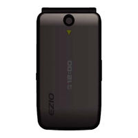 Ezio SL599 User Manual