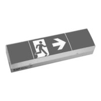 Eaton CEAG 58011 LED CGLine+ 1-8h/D Mounting And Operating Instructions