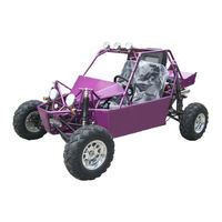 JOYNER Go-kart JNSZ650DS Owner's Manual