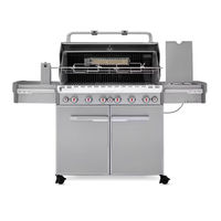 Weber 56206 Owner's Manual