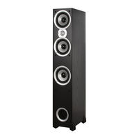 Polk Audio T90e EURO Owner's Manual