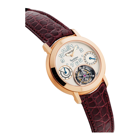 Audemars Piguet Calibre 2875 Instructions For Use Manual