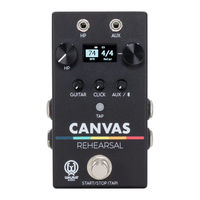 Walrus Audio Canvas Rehearsal Manual