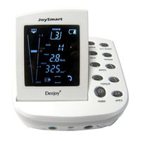 Denjoy JoySmart RCTI-DY III User Manual