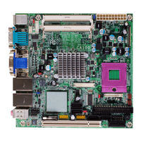 DFI CA100-D User Manual