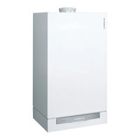 Viessmann WB2-44/60 Start-Up And Service Instructions