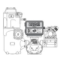 Liquid Controls LectroCount LCR-II E3657 Series Installation Manual