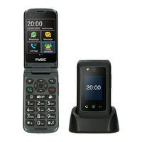 Fysic F20 Manual