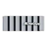 NetApp ASA A90 Install Manual