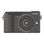 Panasonic LUMIX DC-GX9N Basic Operating Instructions Manual