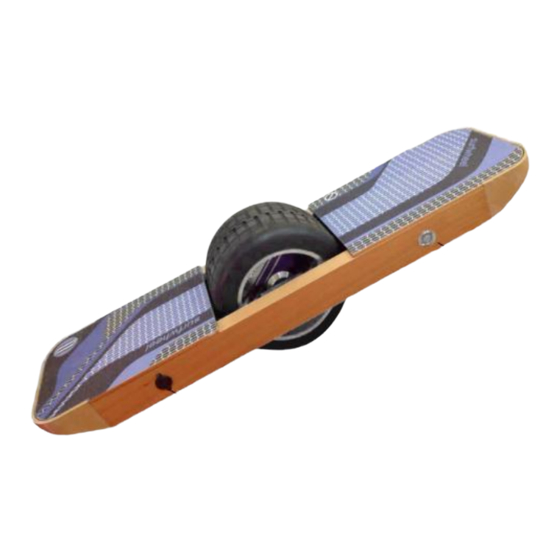 Surfwheel  Riders Manual