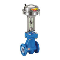 Flowserve Kammer 132000 Series Manual