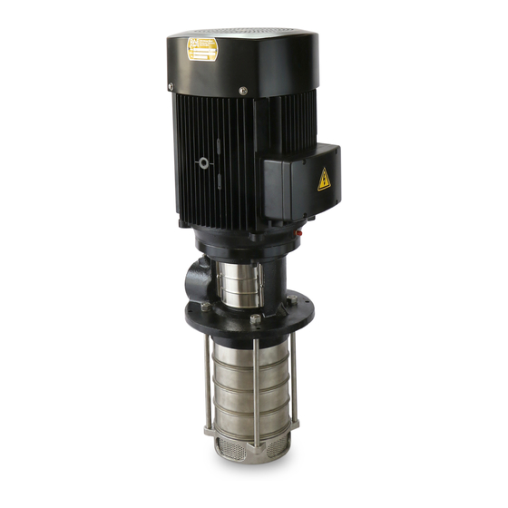 RUTHMAN RAE Pumps GMVCP Series Installation, Operation And Maintenance Manual