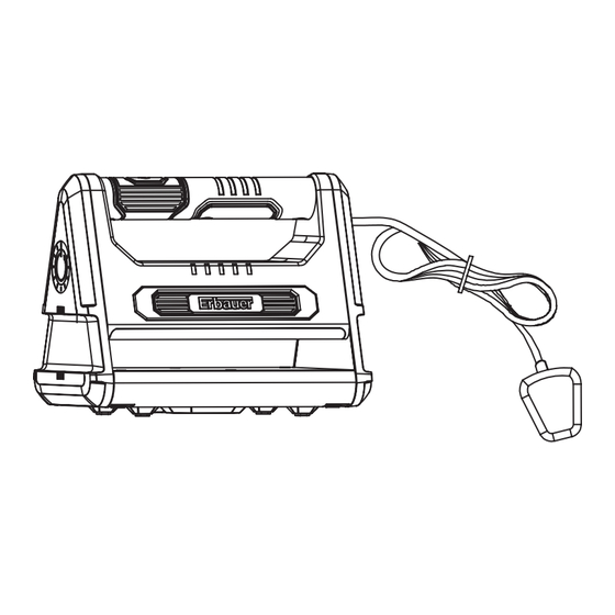 Erbauer LEWO 2000-Co Manual