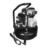 Briggs & Stratton Pro series Operator's Manual