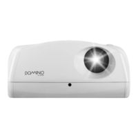 Domino SIM2 Multimedia SpA Installation Manual