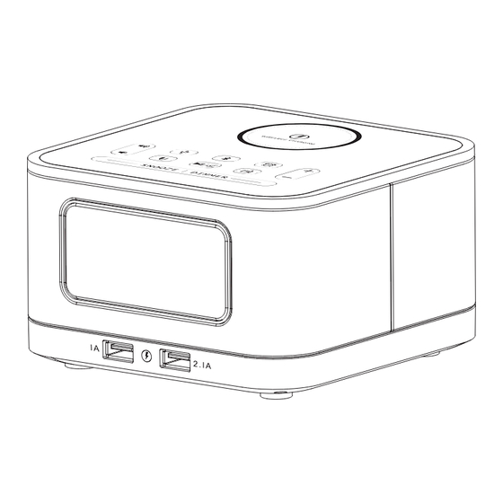Homtime HS1-qi Manual