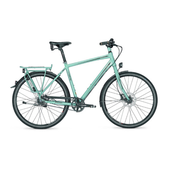 Raleigh Bosch Active Line Original Manual