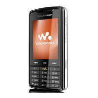 Sony Ericsson W960 Working Instruction, Electrical