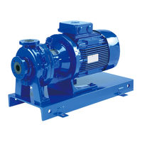 IWAKI PUMPS MDM50-32-200 Instruction Manual