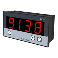 Multispan PI 38 Manual