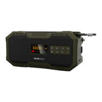 BLUEPALM BP-587 Manual
