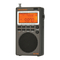 RADDY RF919 EXTENDED MANUAL Pdf Download | ManualsLib
