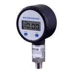 BD Sensors DM 10 Operating Manual