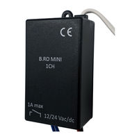 Allmatic B.RO MINI 1CH Manual
