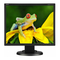 Monitor NEC MultiSync EA192M User Manual