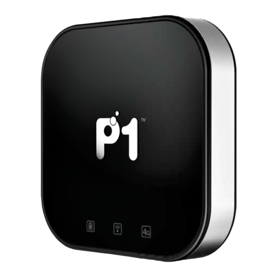 P1 MX230 User Giude