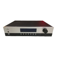 Cary Audio Design CPA 1 Owner's Manual