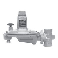 Emerson Fisher T205VB Series Instruction Manual