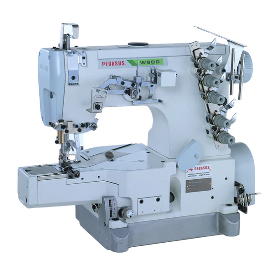 Pegasus W200 Series Instruction Manual